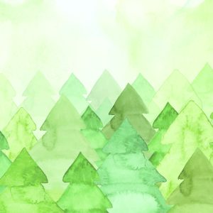 ÁRVORE FLORESTA VERDE